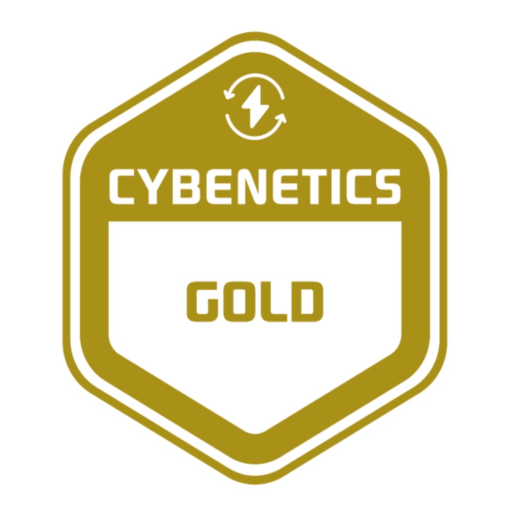 Sursa PC 1stPlayer® 750W, 80 PLUS® Gold si certificat Gold Cybenetics, Full-modular, ATX 3.1, PCIe 5.1, HA-750BA2, negru - imagine 3